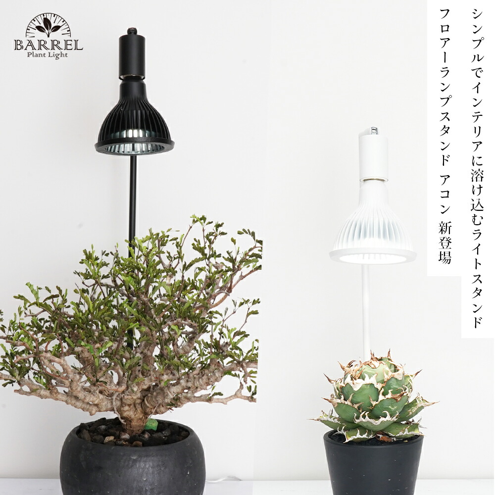楽天市場】BARREL公式 フロアーランプスタンド 54cm 【Akond（アコン