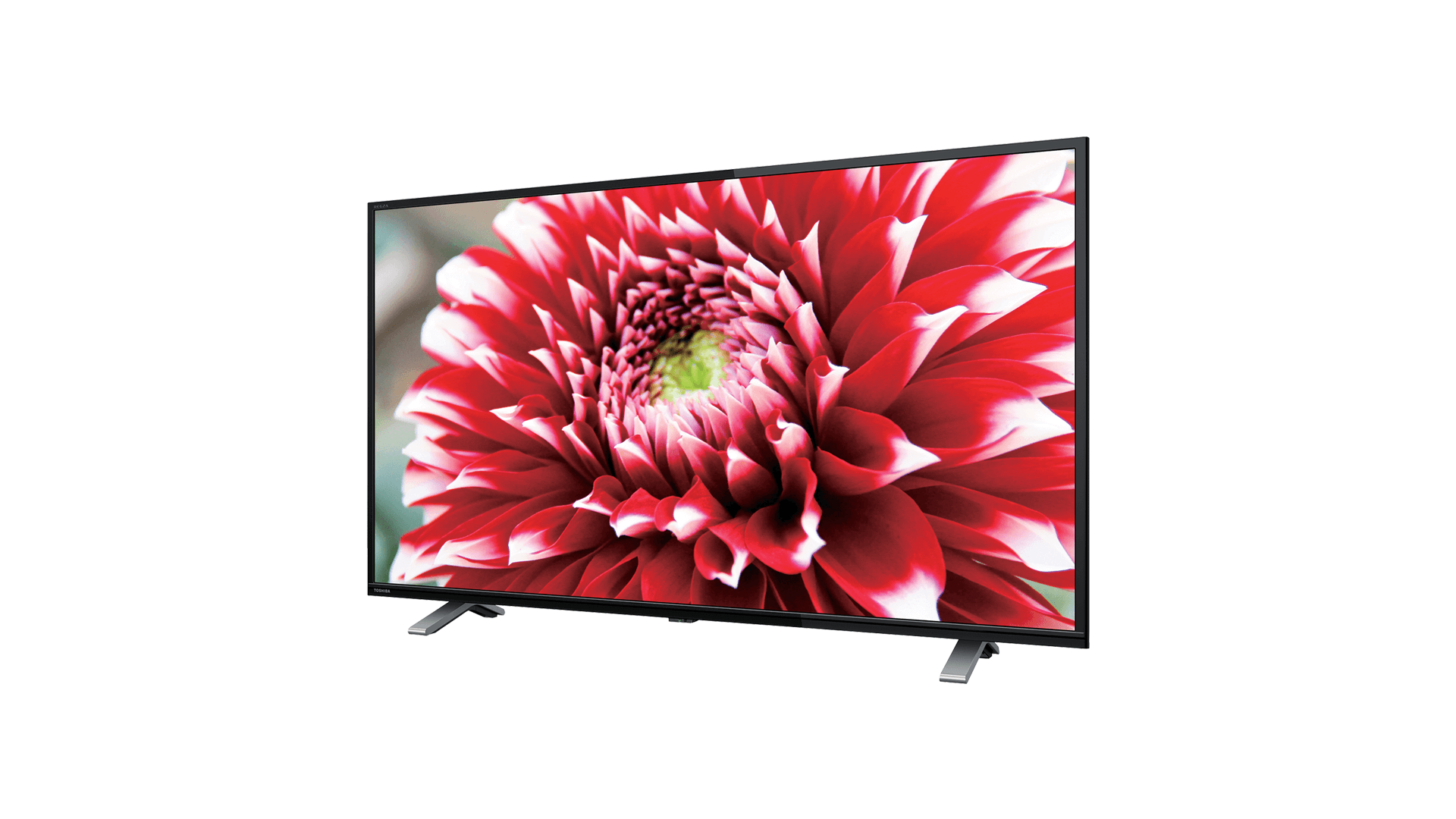 TOSHIBA REGZA 32V34 テレビ 32インチ B-CASなし TOSHIBA（東芝） REGZA 32V34 32V型 ハイビジョンLED液晶テレビ : D