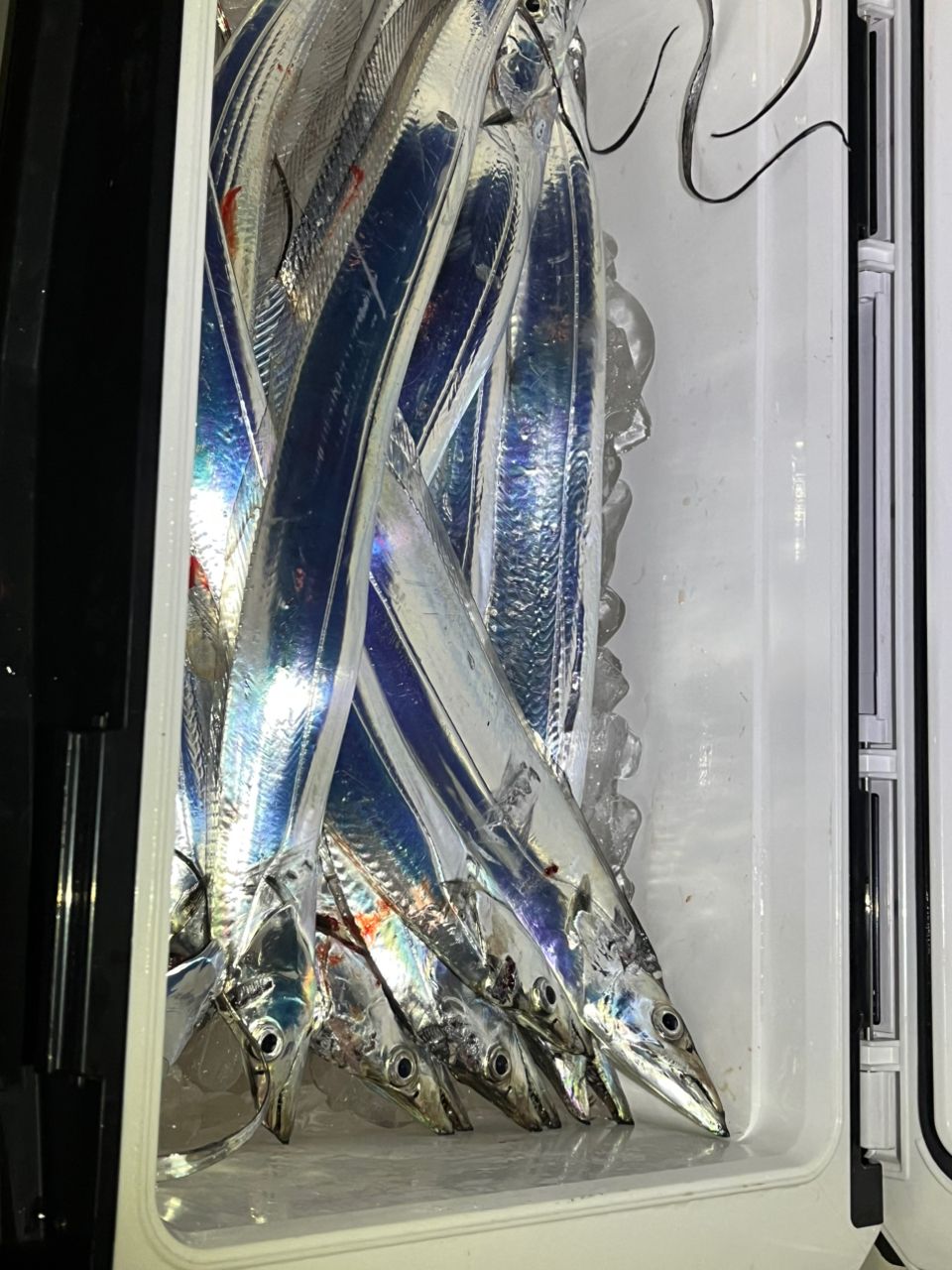 MajorCraft NEW フルソリ ライトジギング FSLJ-B64MLの最安値