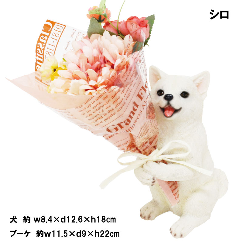 hl150-dog3.jpg