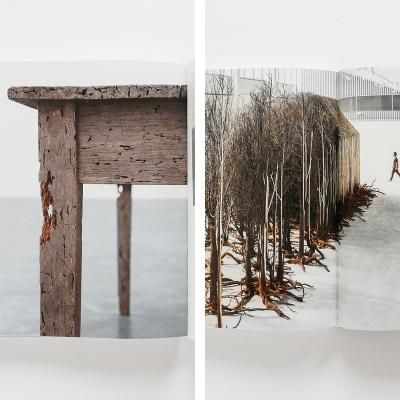 ドリス・サルセド【Doris Salcedo】 - 京都にある、美術洋書＆海外画集