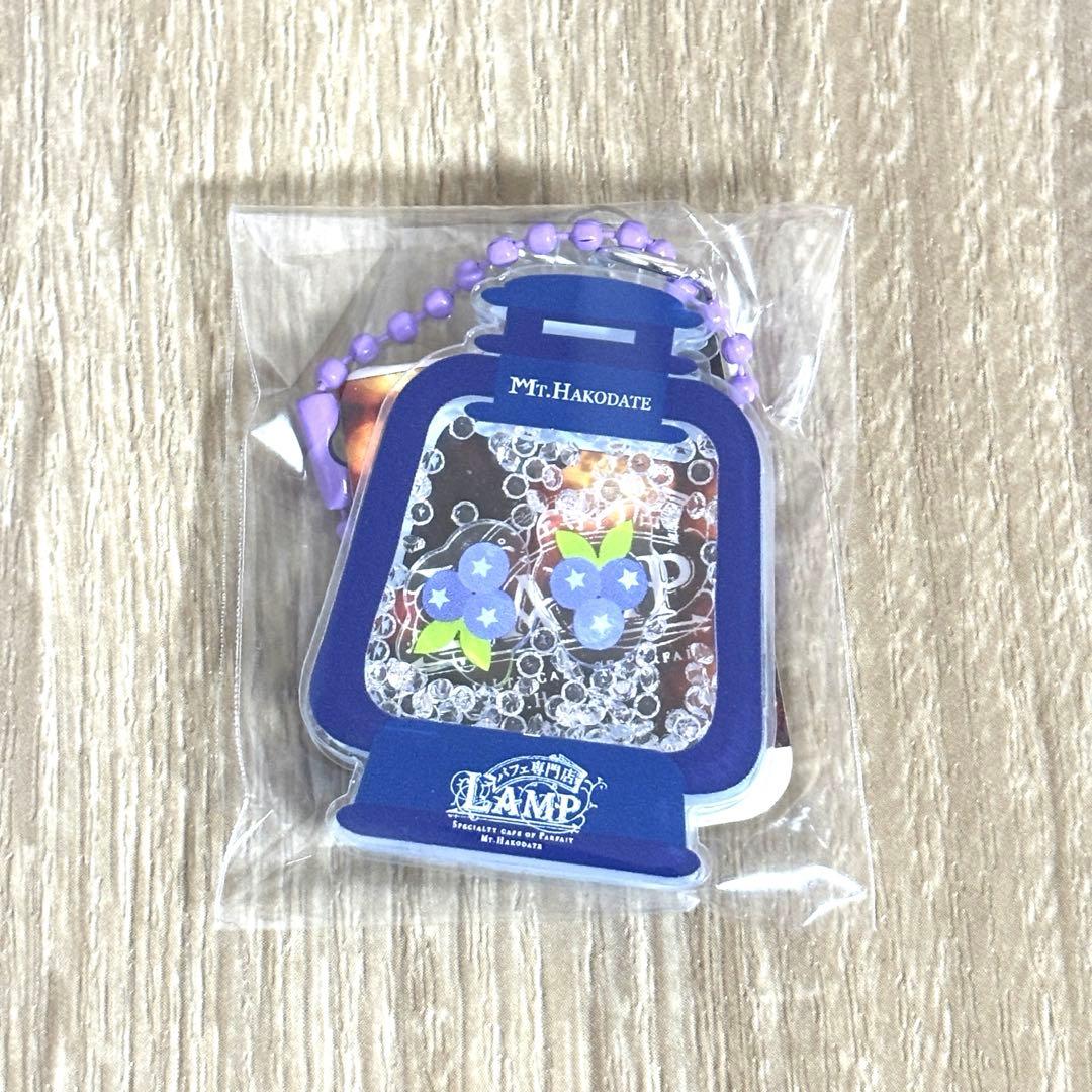 LAMPキーホルダー 箱館山 10種類コンプ 琵琶湖キーホルダー ZOOM