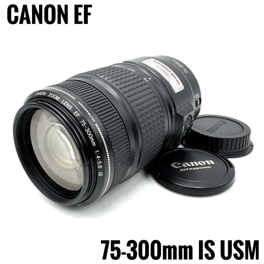 キヤノン★手ブレ補正付 超望遠レンズ EF 75-300mm IS USM CANON EF75-300mm f4-5.6 iii レビュー:コスパ抜群の望遠ズームレンズ