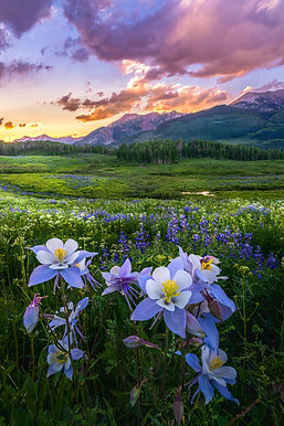 Bestselling Nature & Landscape Photography Fine Art Prints For Sale